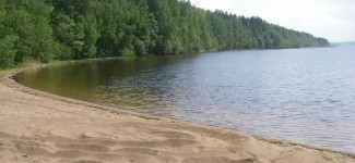 В Пензенской области купаться можно на 11 пляжах 