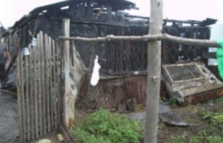 Пять человек тушили пожар в Колышлейском районе 
