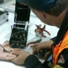 В Пензе спасатели помогли снять ювелирное изделие роженице