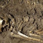 Под Тверью был найден скелет бойца из Пензенской области 