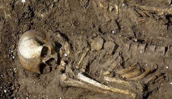 Под Тверью был найден скелет бойца из Пензенской области 