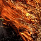В Пензенской области за сутки в огне сгорели 12 тонн сена