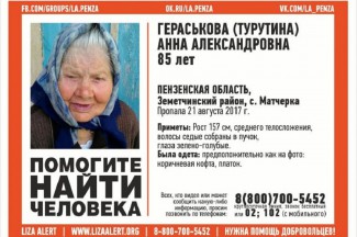 В Земетчинском районе бесследно исчезла 85-летняя женщина