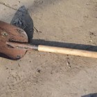 В Пензенской области живодер изувечил собаку лопатой 