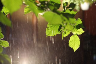 В пятницу жителей Пензы ожидает кратковременный дождь