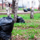 В Пензе воспитанников детсадов будут учить собирать мусор