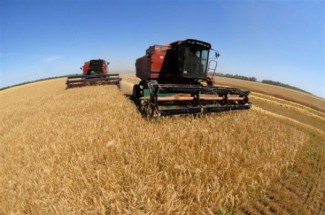 Урожай зерна в Пензенской области составил более 1,5 млн. тонн 