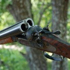 В Пензенской области хладнокровный браконьер застрелил бобра