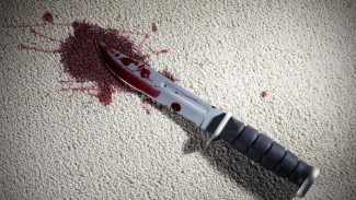 В Пензенской области 24-летний рецидивист вонзил нож в грудь младшего брата