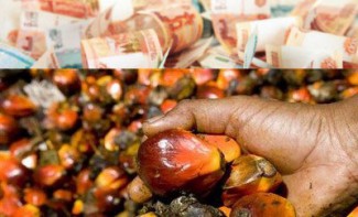 Налог на пальмовое масло: пензенский бюджет в плюсе, а кто в минусе?