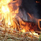В Тамалинском районе 6 спасателей тушили горящую солому