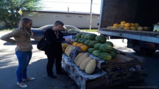 В Пензе продолжают торговать арбузами «без спроса» 