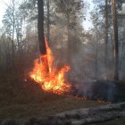 На участке Кузнецко-Комаровского лесничества произошел серьезный пожар 