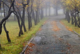 Жителей Пензенской области ожидает потепление 