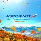 Аэрофлот удваивает компенсацию расходов на питание пассажирам при задержке рейса в аэропорту Шереметьево