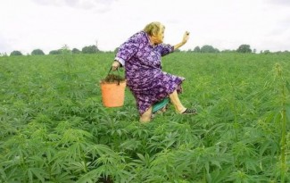 В Пензе 73-летняя пенсионерка села в тюрьму за продажу наркотиков