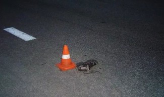 Под Пензой лихач на дорогом BMW сбил насмерть сразу двоих
