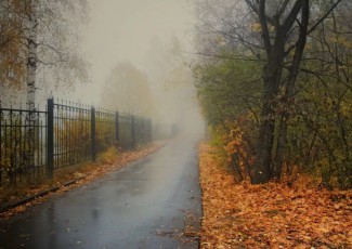 Завтра жителям Пензенской области обещают туман и дождь 