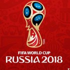 Пензенцы смогут стать волонтерами на Чемпионате мира FIFA-2018