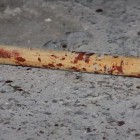 Жительница Пензенской области сломала нос сельчанину палкой 