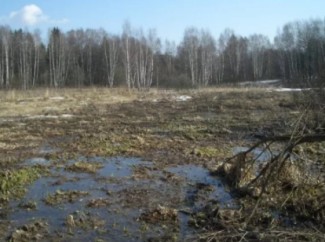В Сосновке местного жителя поглотило болото 