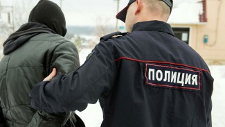 В Москве на несанкционированной акции задержали сотни вооруженных митингующих