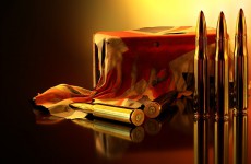 «Оружейный барон» из села Монастырское хотел подкупить полицейского «Оружейный барон» из села Монастырское хотел подкупить полицейского