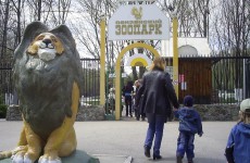 Влюбленные в день святого Валентина могут посетить Пензенский зоопарк в полцены