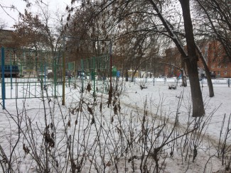 Завтра пензенцев ждет сильный гололед и весомое потепление