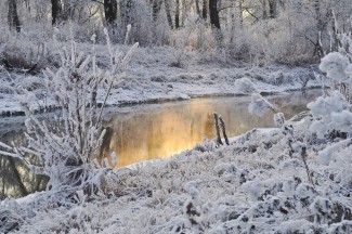 Завтра жителей Пензы ожидают мороз и снегопад 