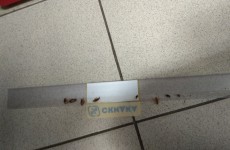 Пензенец поделился шокирующей находкой в интернете Пензенец поделился шокирующей находкой в интернете