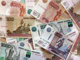 Пензенские полицейские за одну акцию взыскали с должников 300 тыс. рублей
