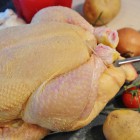 «Росконтроль» обнаружил в курином мясе российских брендов антибиотики и опасные бактерии