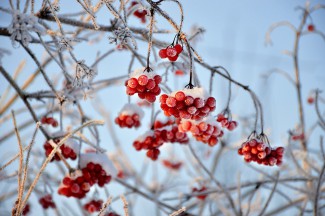 На Крещение жителей Пензы ждет мороз