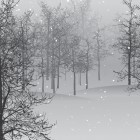 24 января в Пензе ожидается снегопад