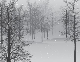 24 января в Пензе ожидается снегопад