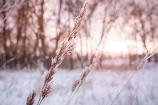 Завтра в Пензенской области ожидаются двадцатиградусные морозы