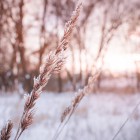 Завтра в Пензенской области ожидается «лютый» мороз
