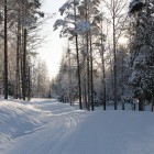 В ночь в Пензе похолодает до – 22 градусов