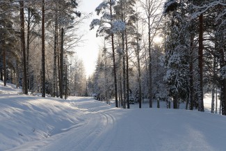 В ночь в Пензе похолодает до – 22 градусов