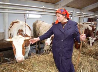 Пензенским сельхозпроизводителям выделят более 527 миллионов рублей