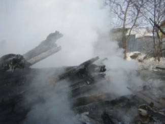 В жутком пожаре в Пензенской области погибли два человека