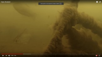 Пензенец снял на видео подводный мир Суры