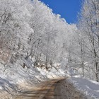 В Пензенской области 27 февраля температура опустится до -28ºС