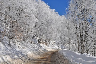 В Пензенской области 27 февраля температура опустится до -28ºС