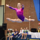 На 10-летие ДЦ «Буртасы» в Пензу приедут гимнасты Алексей Немов и Лидия Иванова