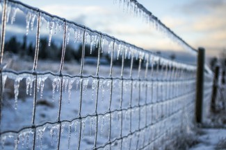 В Пензе температура воздуха 7 марта поднимется до -5 ºС