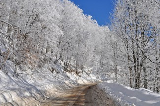 Завтра в Пензенской области похолодает до -26 градусов 