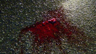 Соцсети - Под Пензой водитель оставил «мокрое место» от лежащего на проезжей части пешехода