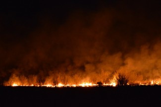 Страшный пожар в Засечном попал на видео 